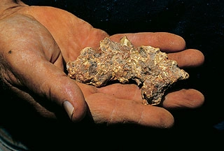 What’s the best way to invest in gold, gold nugget